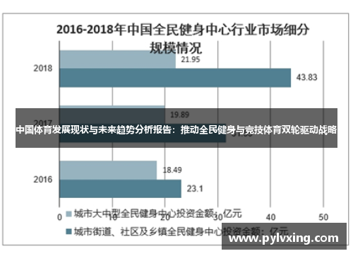 中国体育发展现状与未来趋势分析报告：推动全民健身与竞技体育双轮驱动战略